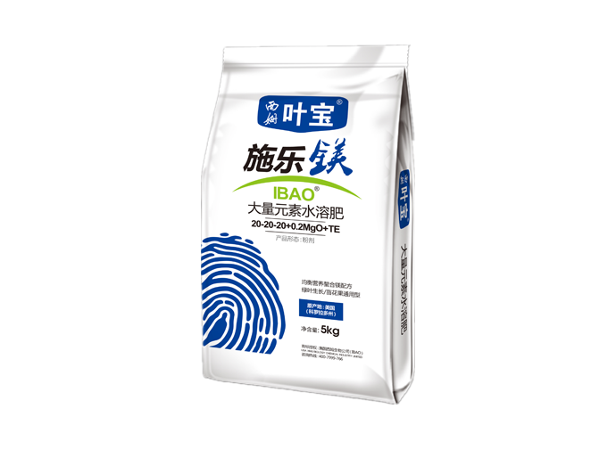 施乐镁2.png