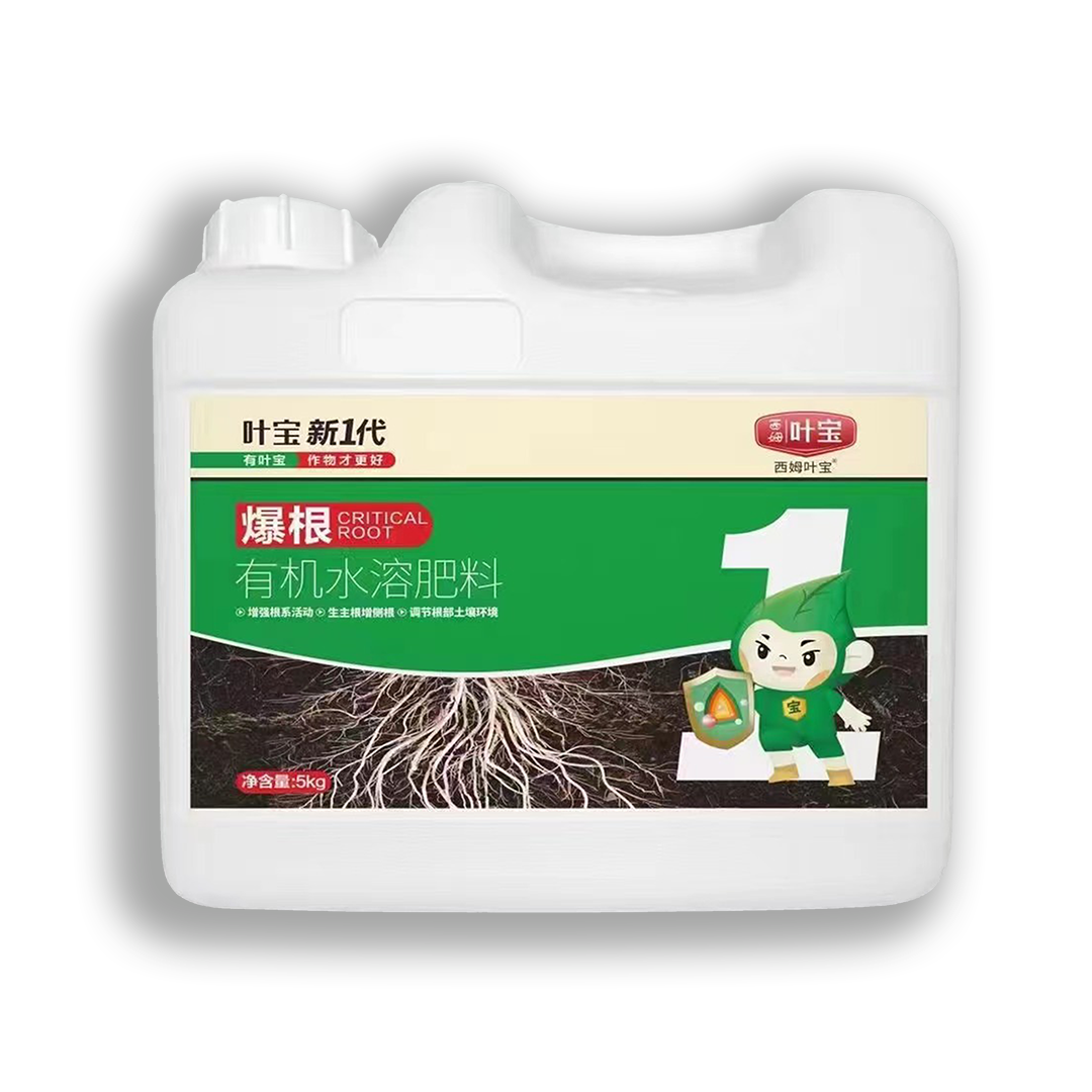 1713318383985788.png 爆根.png